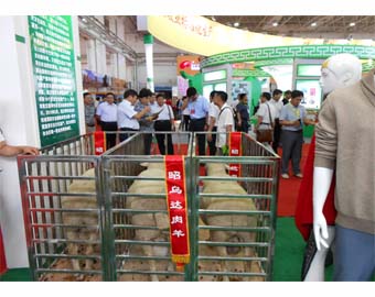中国-内蒙古绿色农畜产品博览会（三）.jpg